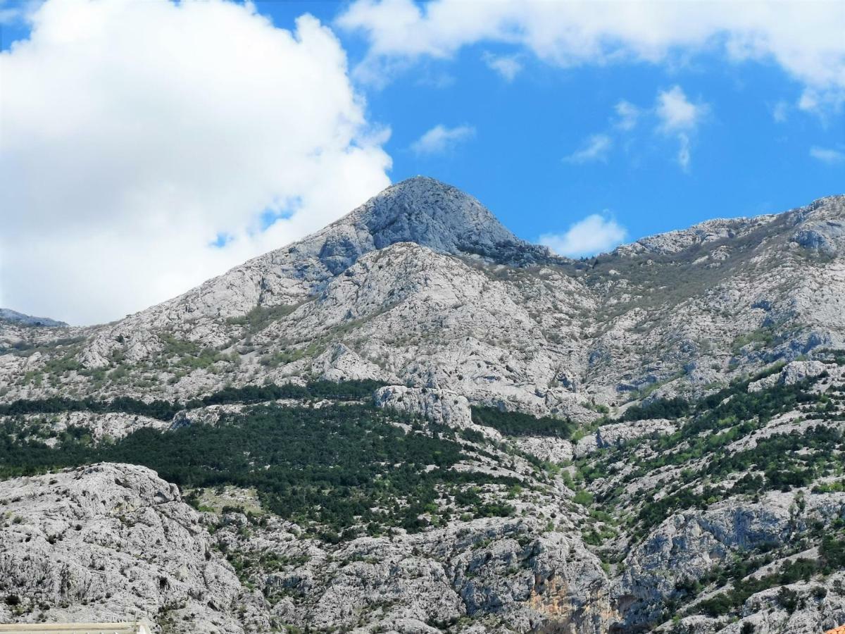 Apartment Makarska, Panoramic Sea & Mountains View, Cucek Dış mekan fotoğraf