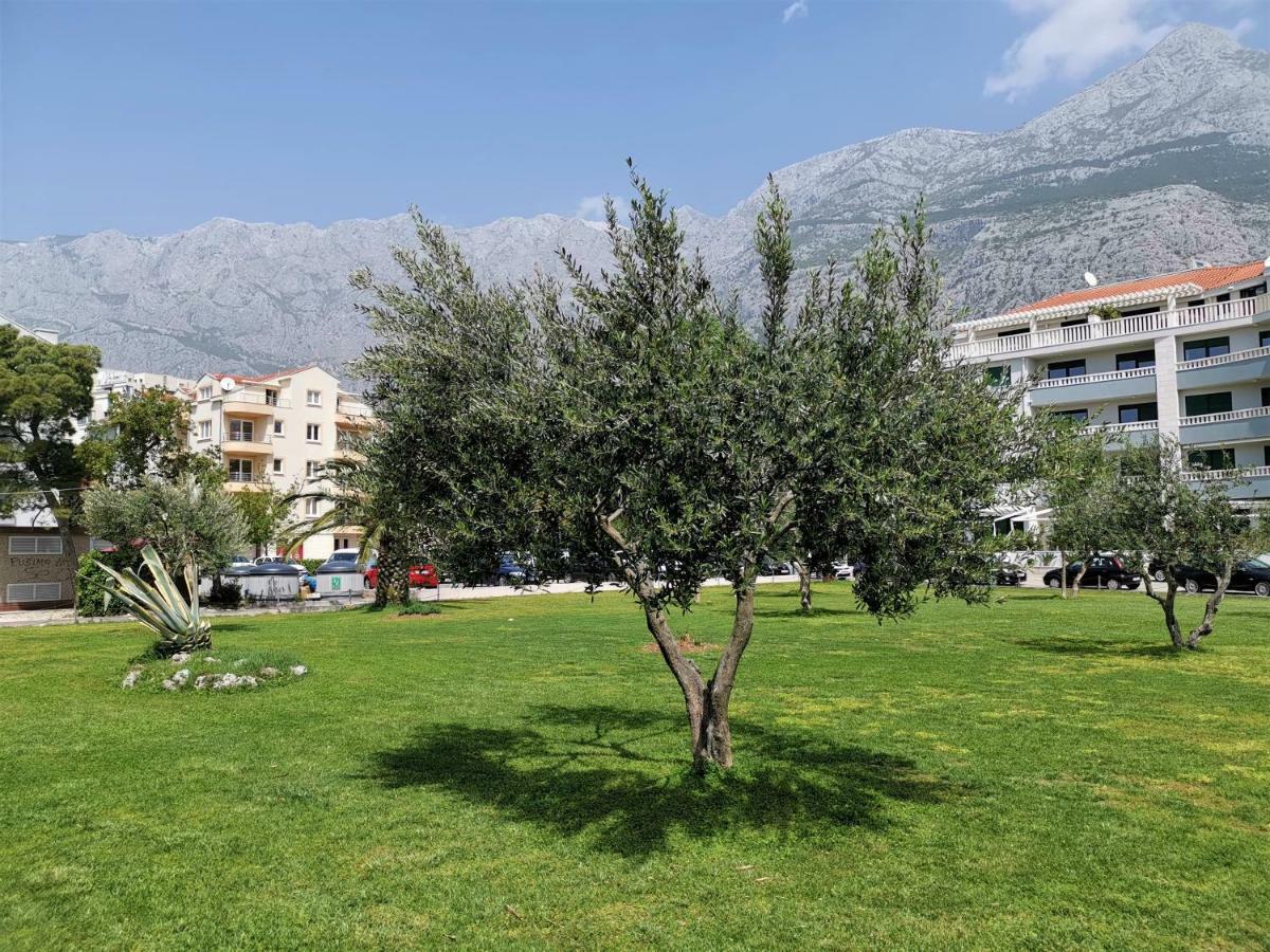 Apartment Makarska, Panoramic Sea & Mountains View, Cucek Dış mekan fotoğraf